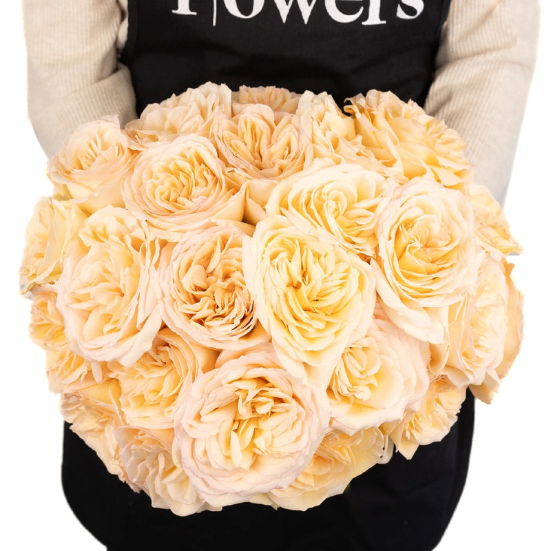 Pastel Perfection Garden Rose Apron - Image