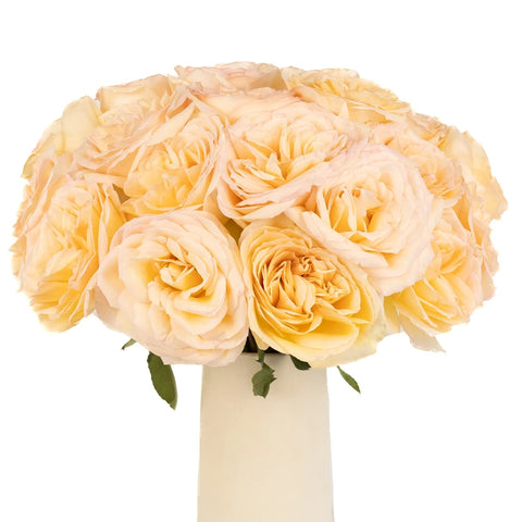 Pastel Perfection Garden Rose Vase - Image