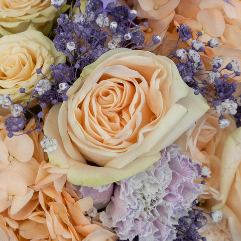 Pastels With Pizzazz Diy Flower Kit Close Up - Image