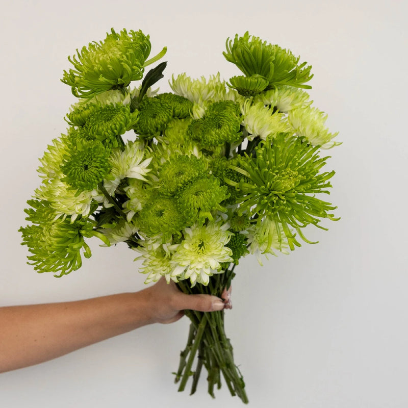 Pea Pod Diy Wedding Flower Pack Vase - Image