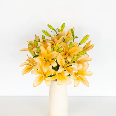 Peach Asiatic Lily Vase - Image