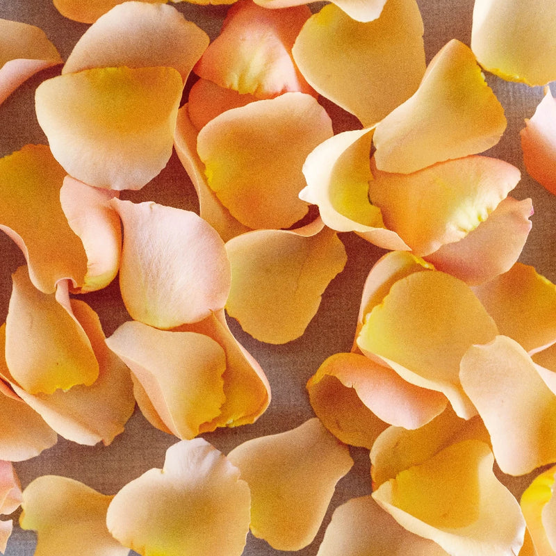 Peach Fresh Rose Petals Apron - Image