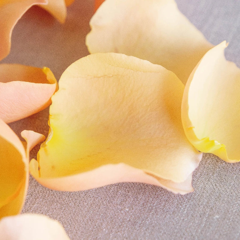 Peach Fresh Rose Petals Stem - Image