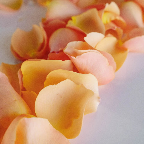 Peach Fresh Rose Petals Vase - Image