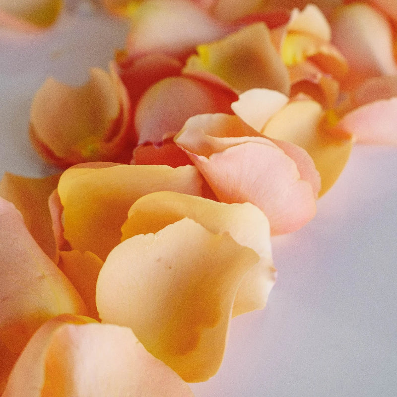 Peach Fresh Rose Petals Vase - Image