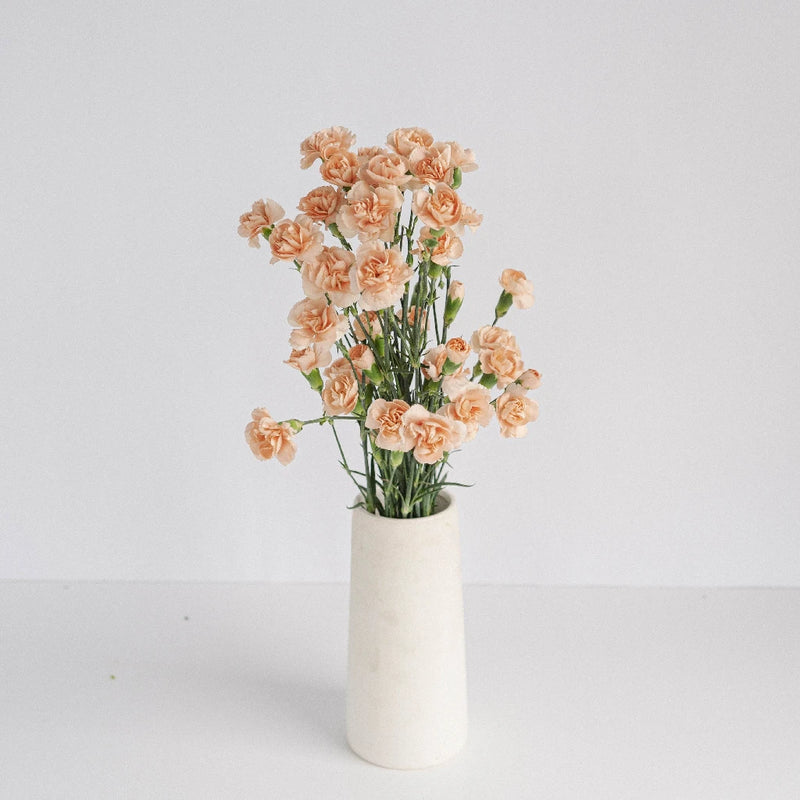 Peach Mini Carnation Flowers Vase - Image