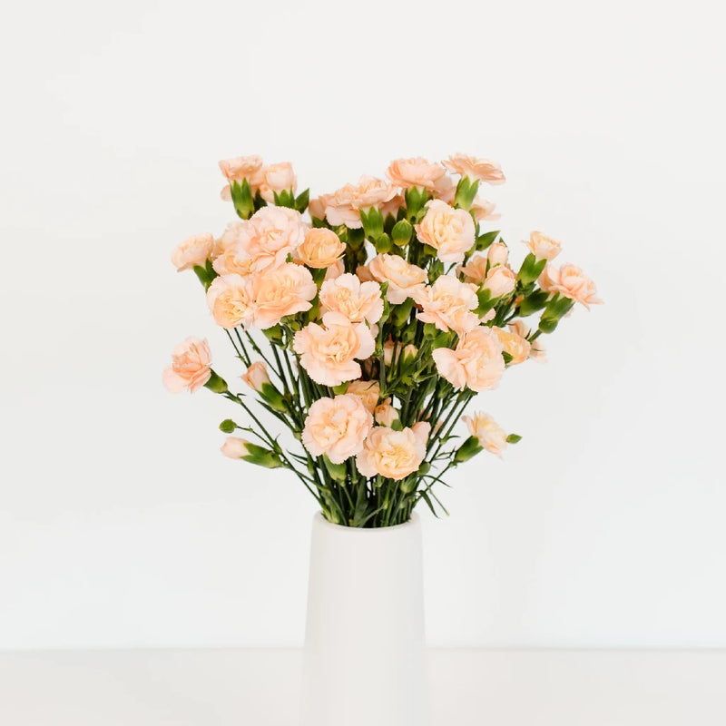 Peach Mini Carnation Flowers Vase - Image