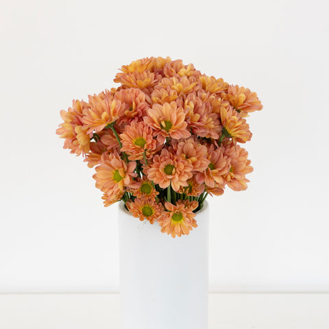 Peach Pastel Daisy Flower Vase - Image