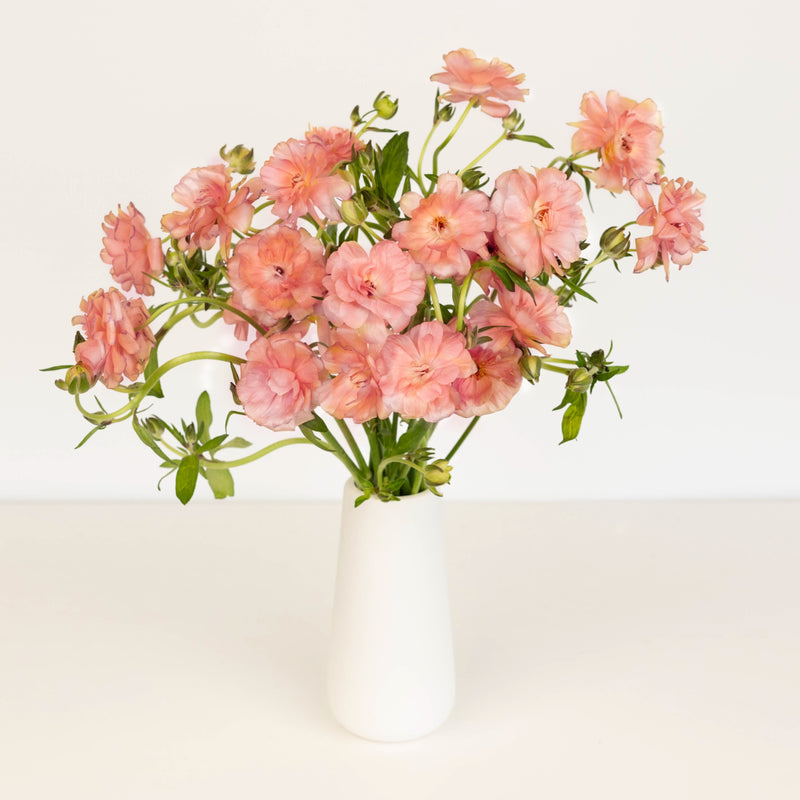 Peach Pink Butterfly Ranunculus Flower Vase - Image
