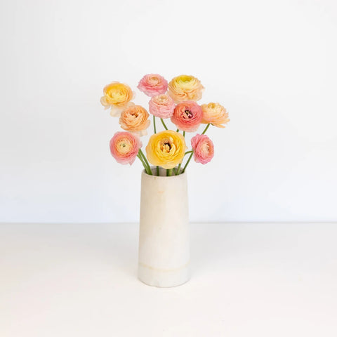 Peach Ranunculus Stem - Image