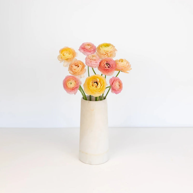 Peach Ranunculus Stem - Image