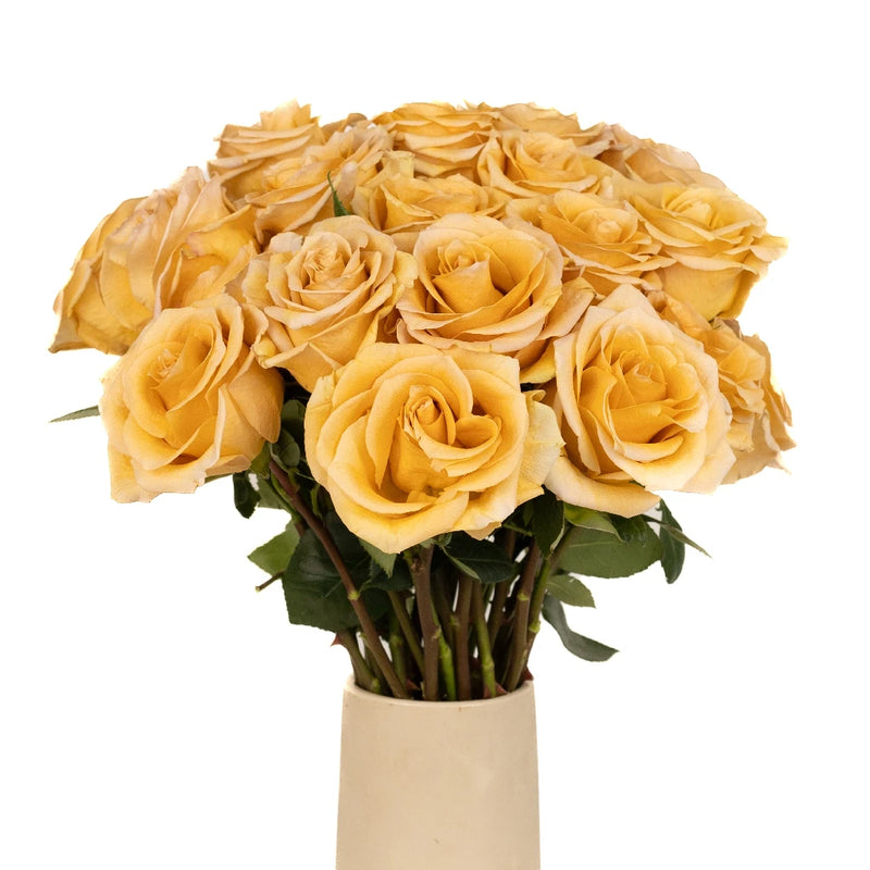 Peach Sherbet Combo Rose Vase - Image