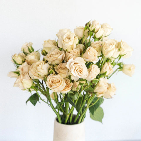 Peach Spray Bulk Roses Apron - Image