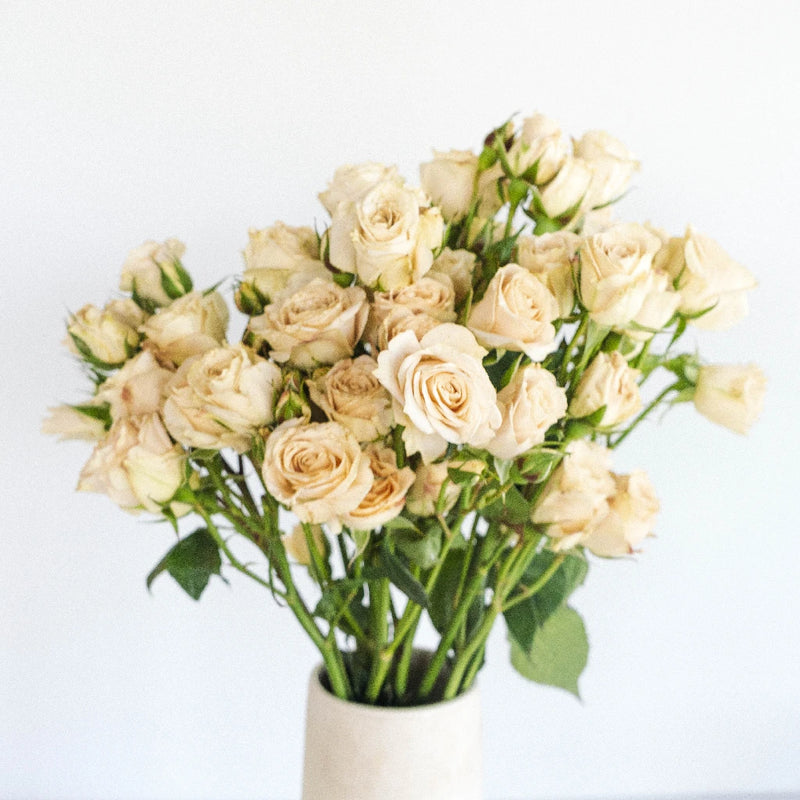 Peach Spray Bulk Roses Apron - Image