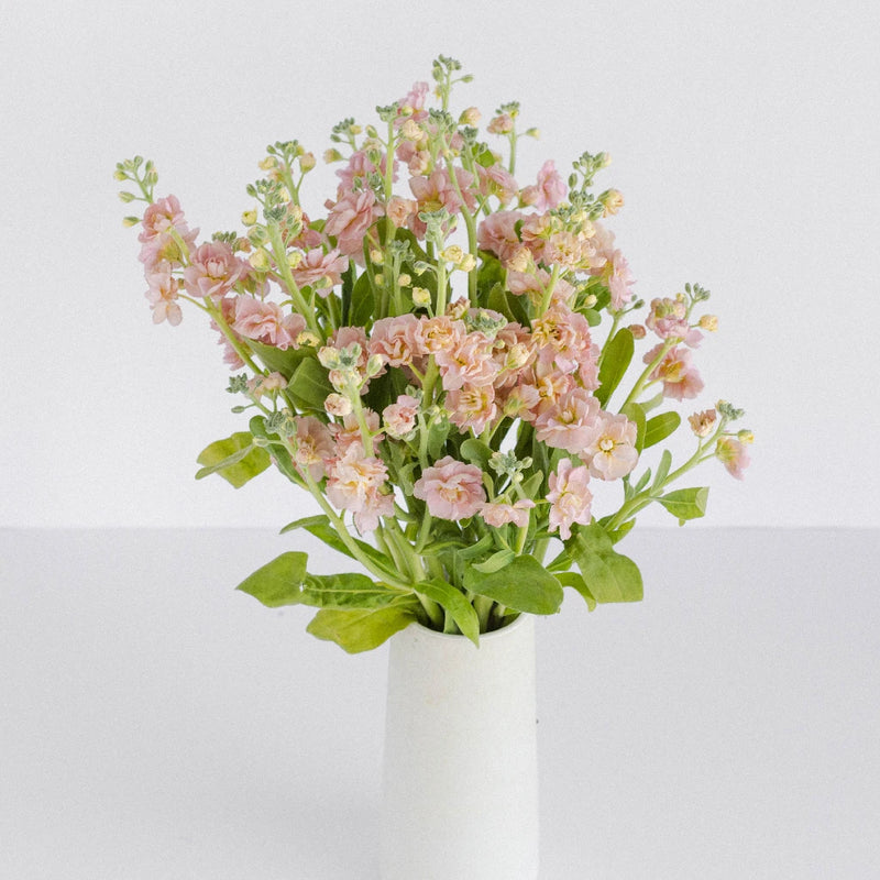Peach Spray Stock Flowers Vase - Image