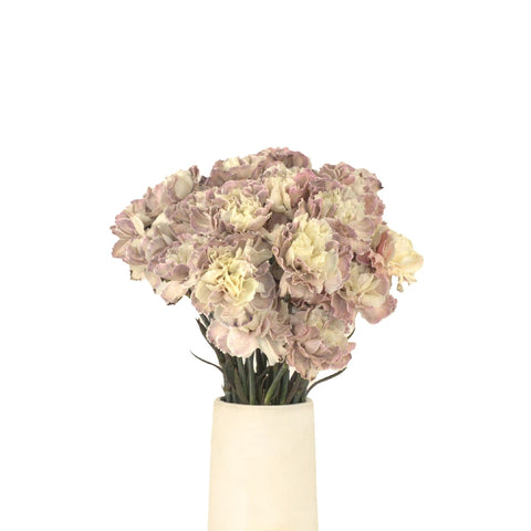 Peach Vase - Image
