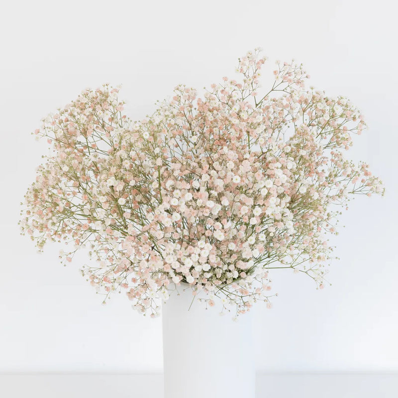 Peachy Pink Airbrushed Babys Breath Flower Vase - Image