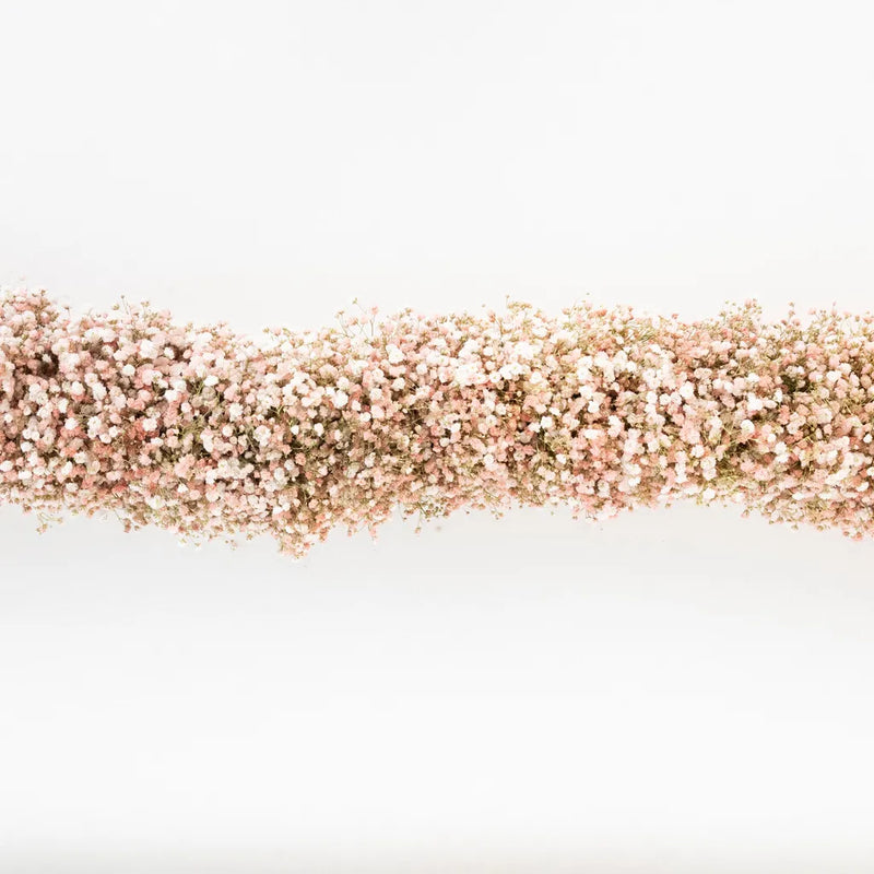 Peachy Pink Babys Breath Garland Stem - Image