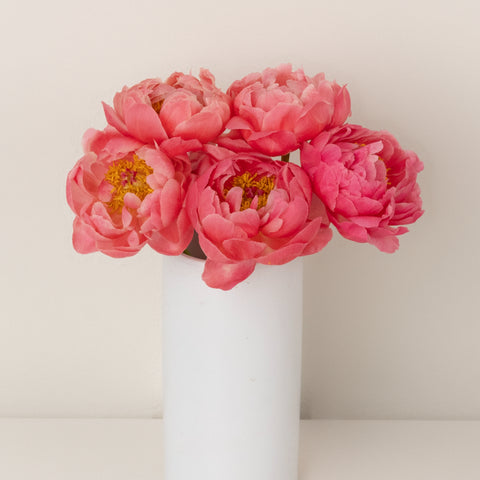 Peachy Pink Coral Peonies Other - Image