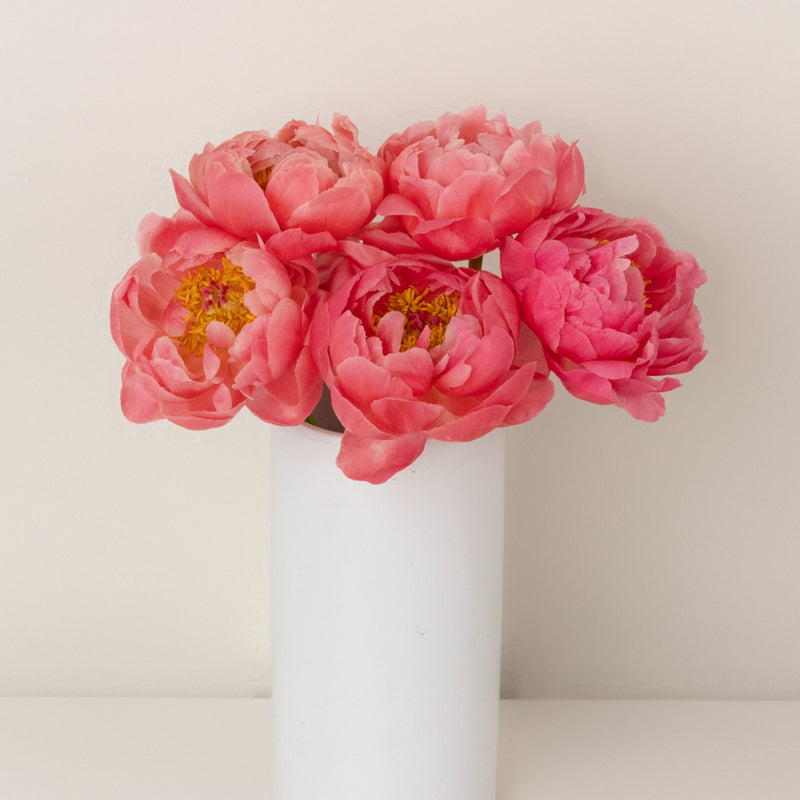 Peachy Pink Coral Peonies Other - Image