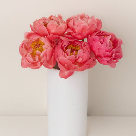 Peachy Pink Coral Peonies For Mothers Day Apron - Image