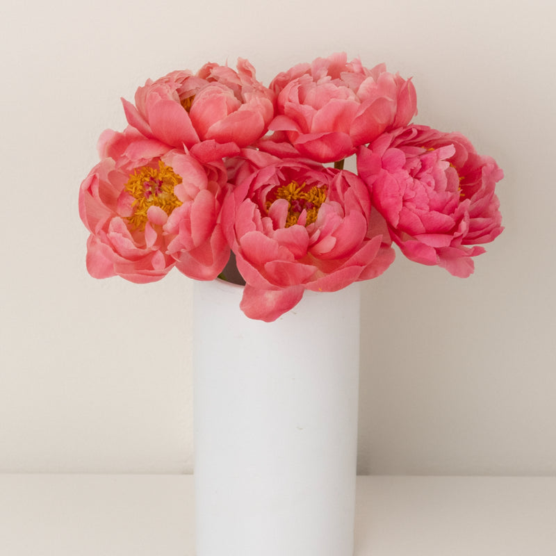 Peachy Pink Coral Peonies For Mothers Day Apron - Image