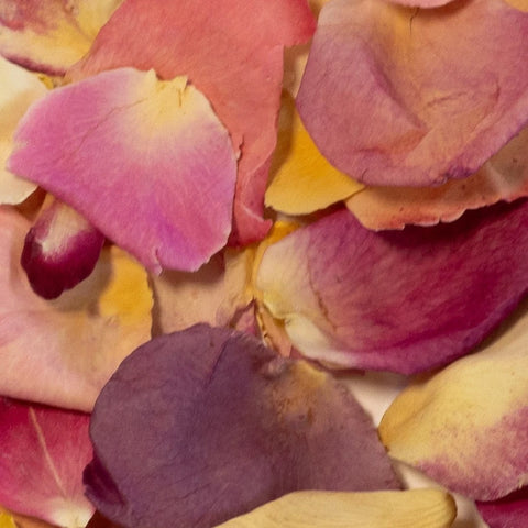 Peachy Rose Confetti Dried Petals Close Up - Image