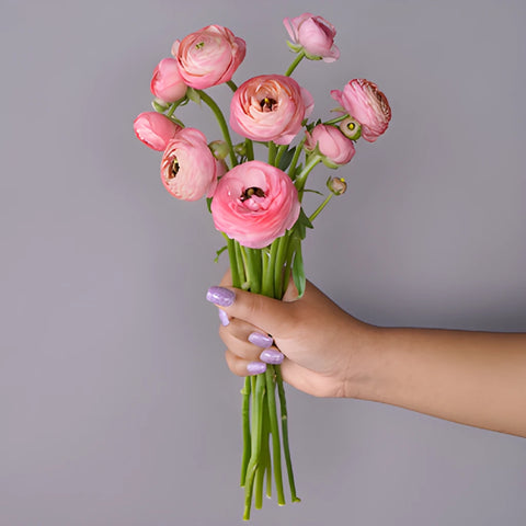 Save The Ranunculus Growers DIY Flower Kit
