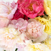 Peony Flower Mixed Color August Delivery