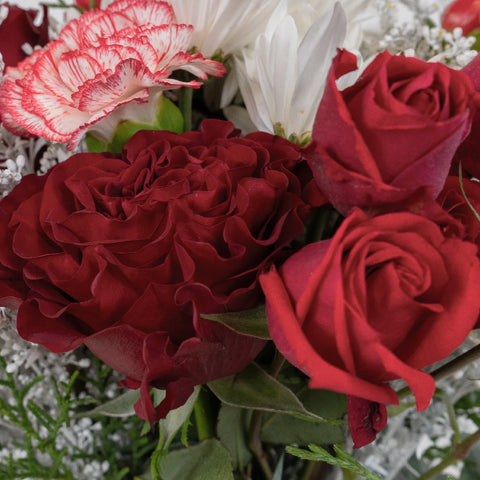 Peppermint Carnation Bouquet Bar Kit Close Up - Image