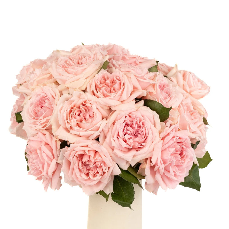 Perfect Pink Garden Rose Vase - Image