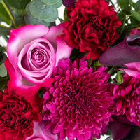 Perfection Magenta DIY Flower Kit Up Close