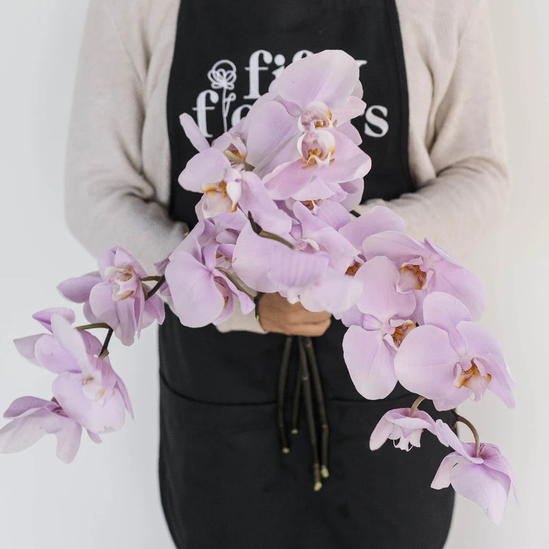 Phalaenopsis Orchid Bicolor Lavender Blush Apron - Image