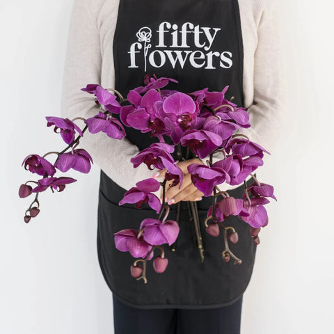 Buy Wholesale Phalaenopsis Orchid Purple Flower in Bulk - FiftyFlowers