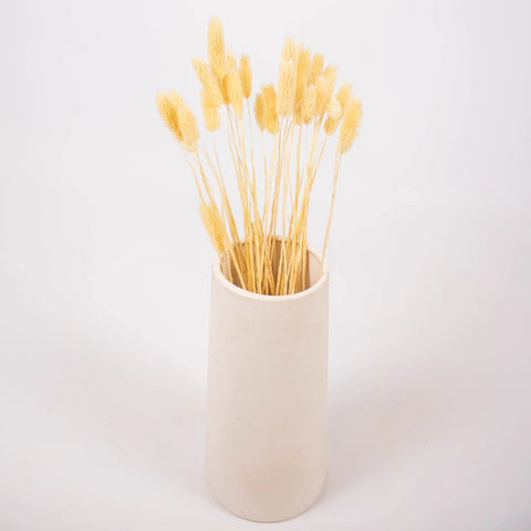 Natural Dried Canary Grass