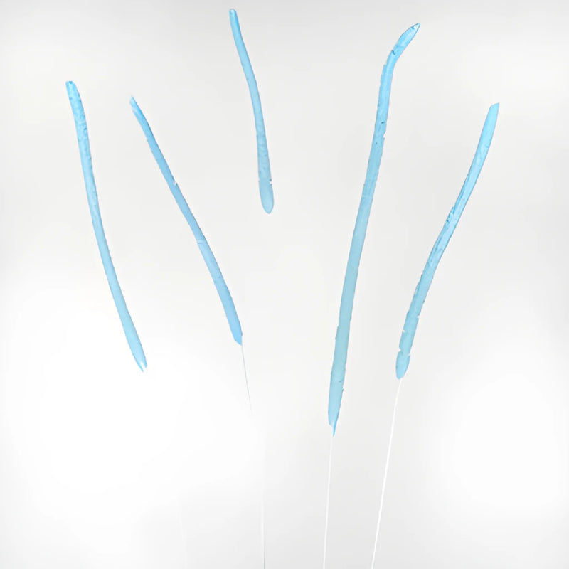 Light Blue Dried Timothy Grass