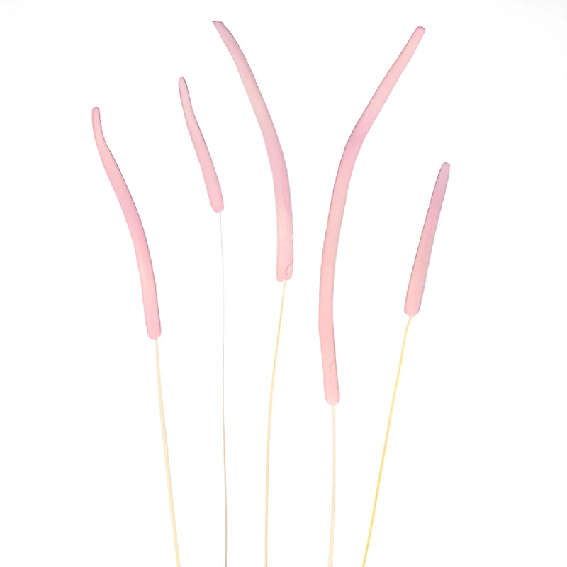 Blush Dried Timothy Grass