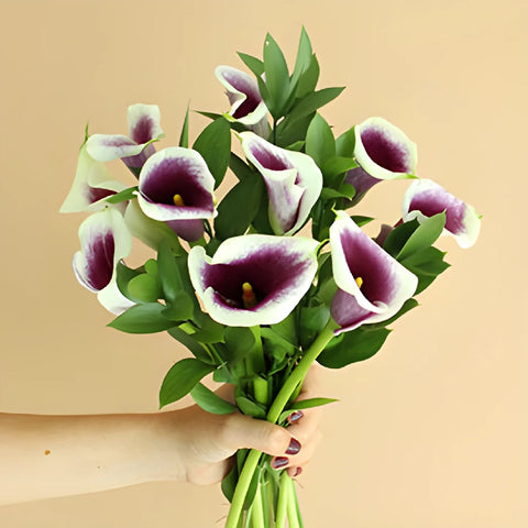 Picasso Mini Calla Lily Centerpieces