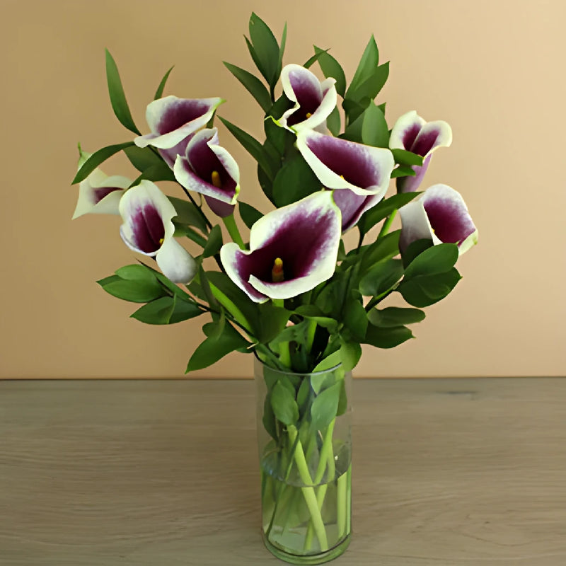 Picasso Mini Calla Lily Centerpieces