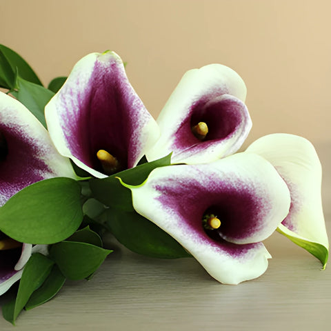Picasso Mini Calla Lily Centerpieces