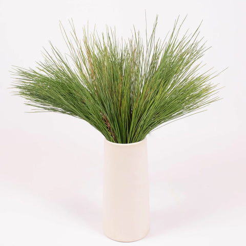 Long Needle Pine Greenery in Vase