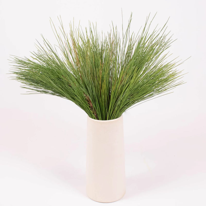 Long Needle Pine Greenery in Vase
