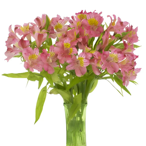 Pink And Yellow Peruvian Lily Flower Vase - Image