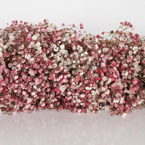 Pink Baby's Breath Tinted Garland Close Up - Image