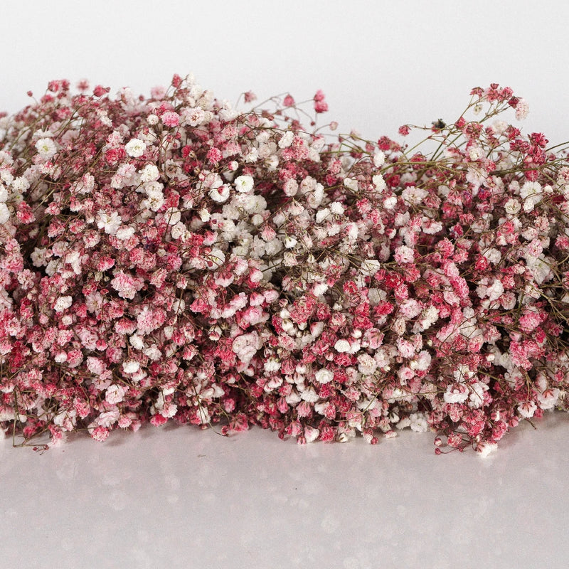 Pink Baby's Breath Tinted Garland Close Up - Image