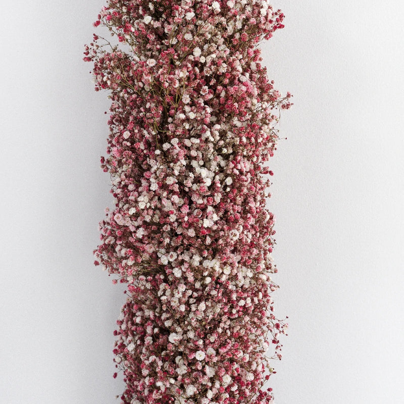 Pink Baby's Breath Tinted Garland Hand - Image