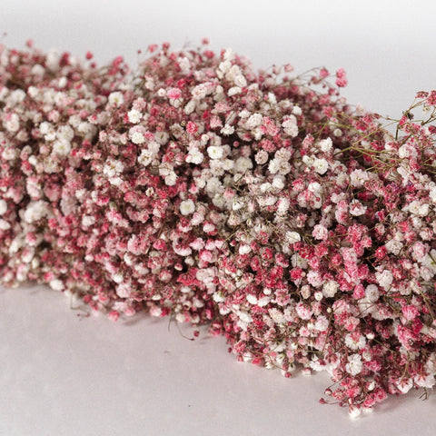 Pink Baby's Breath Tinted Garland Vase - Image