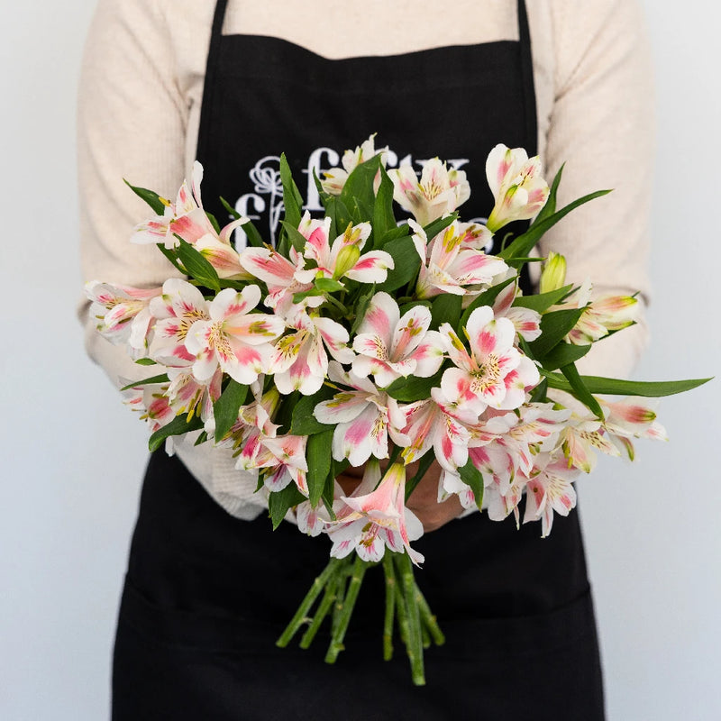 erin lily flower Buy Wholesale Pink Blush Peruvian Lilies in Bulk
