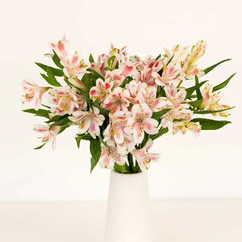 Pink Blush Peruvian Lilies Flower Vase - Image