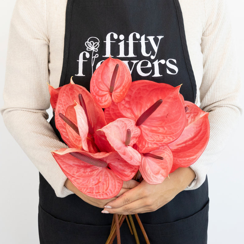 Pink Candy Anthurium Flower Apron - Image